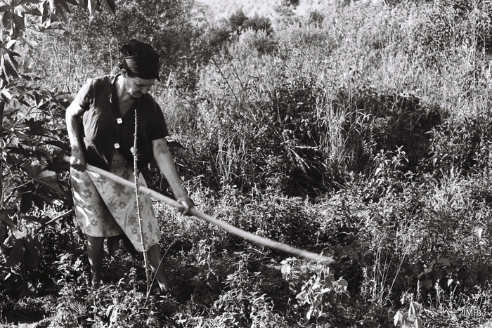 AÑO 1973 - BLANCO Y NEGRO - VIDA CAMPESINA EN PARAGUAY (JOSÉ MARÍA BLANCH)